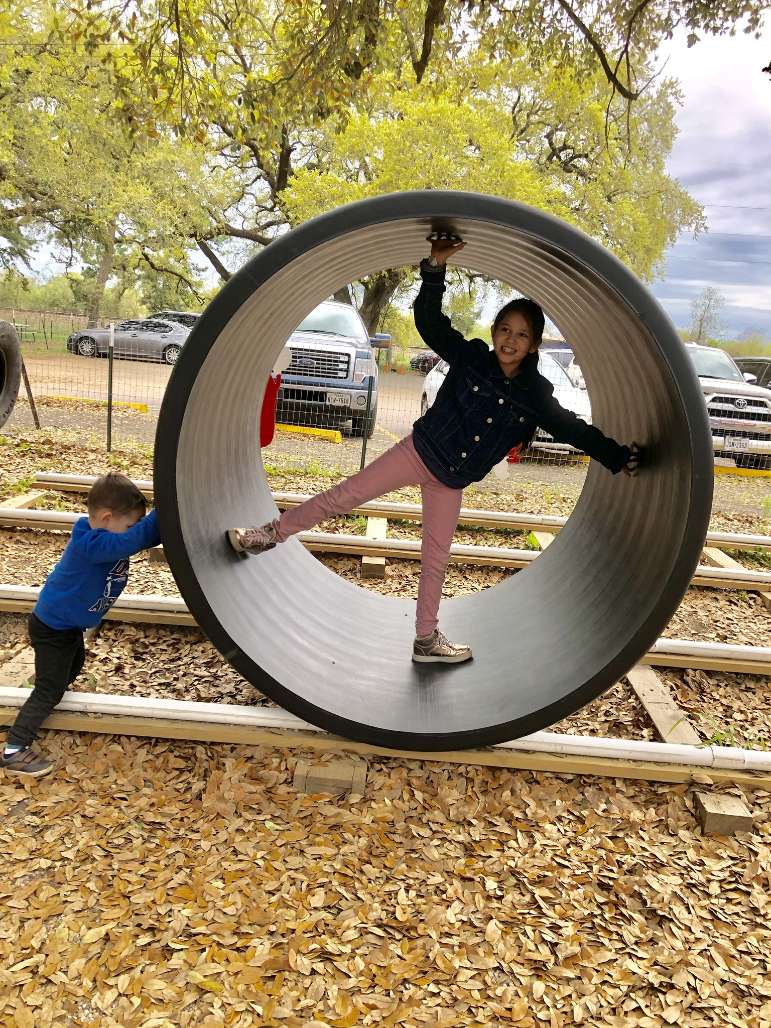 6d366245-7848-4b81-86bf-5ac2c85f2088